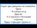 Грузин в Командировке и Наглая Пр@ститутк@!!! Смешная Подборка Анекдотов!!!