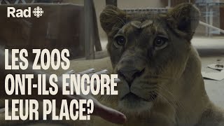 Les zoos ont-ils encore leur place? | Animaux | Rad