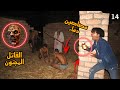 القاتل المجنون هينهي حياتي علشان خدناعلاج مصاصين الدماء وهنعالج صحابي