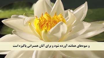 جز 1 ( سوره بقره از آیه  25 تا 29 ) با ترجمه فارسی صوتی و تصویری