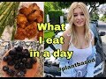 WHAT I EAT IN A DAY - SPRING 2019