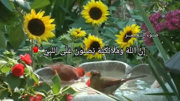 أجمل تلاوه  ان الله وملائكته يصلون على النبي