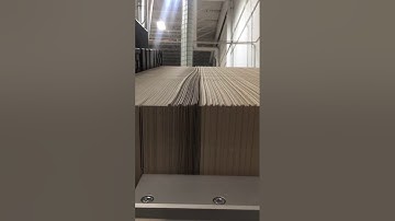 Best Graphics Group #1651-D Busch SWH 125 RLA Fully Automatic Pile Turner