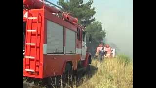 24.07.2012 Севастополь: пожежа у хвойному лісі на площі 9 га