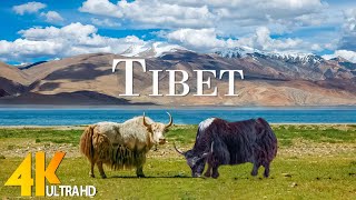 Tibet 4K - Inspiring Cinematic Music With Scenic Relaxation Film - Amazing Nature