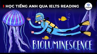 NHỮNG “BÓNG ĐÈN SỐNG” ẨN NẤP DƯỚI ĐÁY ĐẠI DƯƠNG🐙| Học tiếng Anh qua IELTS Reading| Bioluminescence