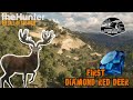 Diamond red deer server hopping cuatro colinas game reserve cotw