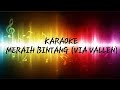 Download Meraih Bintang Via Vallen Karaoke Koplo mp3