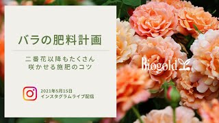 バイオゴールド バラの肥料計画~二番花以降もたくさん咲かせる施肥のコツ｜花数を増やすためには｜液体肥料は必要？｜活性液の効果とは など