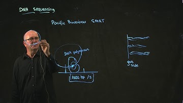 Pacific Biosciences Sequencing