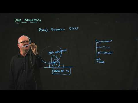 Pacific Biosciences Sequencing