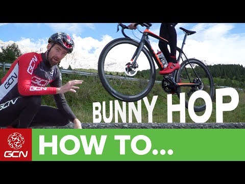 How To Bunny