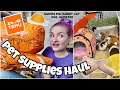 HUGE PET SUPPLIES HAUL! | 🐽🐇🐹🐭🐁🐈 | temu |