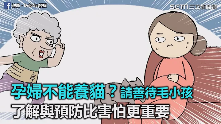 孕婦不能養貓？請善待毛小孩　了解與預防比害怕更重要｜三立新聞網SETN.com - 天天要聞