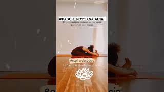 Las posturas de yoga requieren paciencia especialmente #paschimottanasana #yogaenespañol #hathayoga