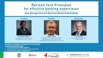 Webinar: Risk Management and Business Model Sustainability