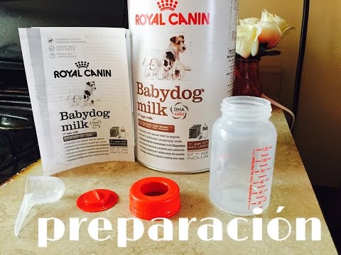 Como preparar babydog milk de royal canin