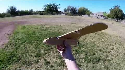 Sparrow Maiden RC Flight