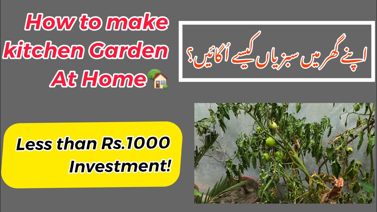 How To Make Home Garden Produce Vegetables At Home YouTube how-to-make-home-garden-produce-vegetables-at-home-youtube