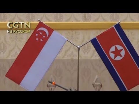 Глава МИД Сингапура провел в Пхеньяне переговоры с коллегой из КНДР [Age 0+]