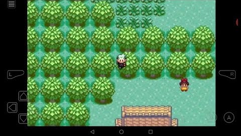 Pokemon emerald walk through walls cheat