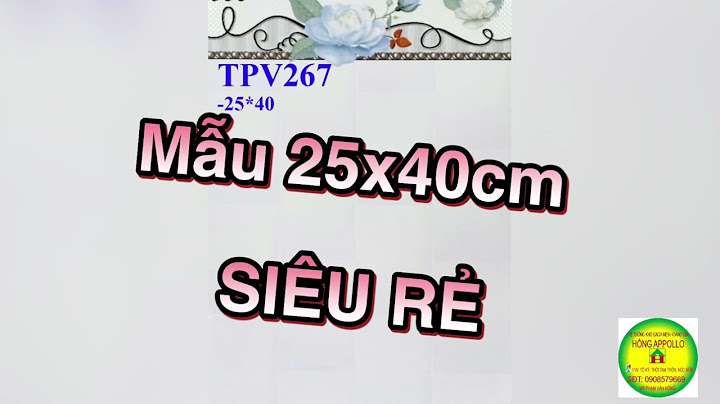 Gạch 25x40 bao nhiêu viên 1 hộp năm 2024