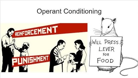 AP Psychology - Unit 4: Learning, Part 2: Operant Conditioning