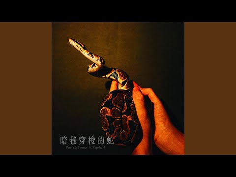 暗巷穿梭的蛇