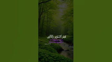 القران الكريم #قرآن #راحة_نفسية