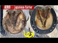 馬の靴屋さん　　装蹄師【競馬　乗馬】　japanese farrier 削蹄