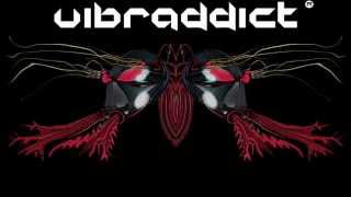 System Nipel - Fly System (Vibraddict Remix)