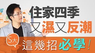 住家四季又濕又反潮　S大：這幾招必學！｜#Sway說｜#好房網TV｜20200728