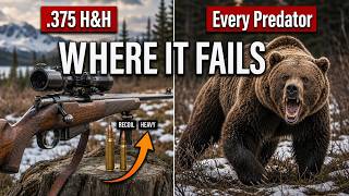 The .375 H&H vs Every Predator in America — Where It Fails (The Rifle Alaska Guides Still Carry)