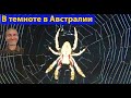 Страшные. Австралия ночью. Район, где я живу. (видео 262)