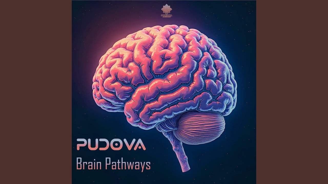 Watch Brain Pathways on YouTube Watch Brain Pathways on YouTube