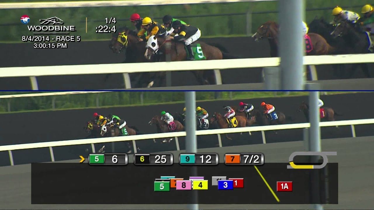Woodbine, Tbred, Aug. 4, 2014 Race 5 YouTube