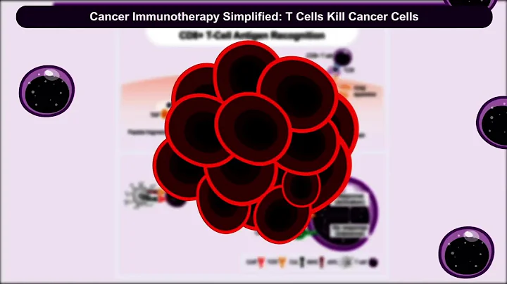 Deep Insight Into Immuno-Oncology: Immunotherapy Pathways, Targets, and Biomarkers - DayDayNews