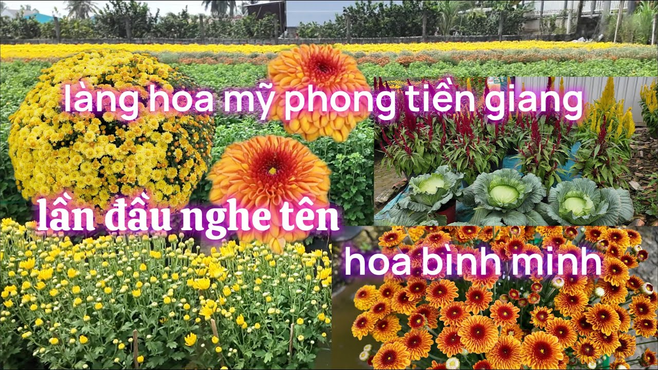 Rực Rỡ 