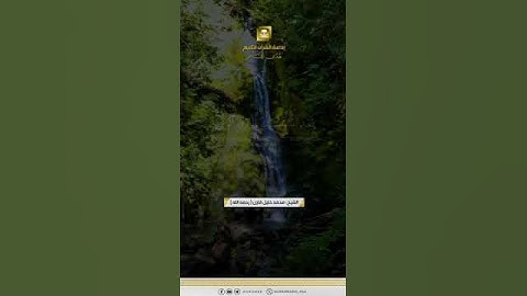 تلاوة للشيخ محمد خليل قارئ (رحمه الله) #اكسبلور # الكتاب _ والسنه #تلاوه