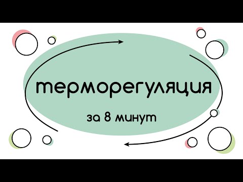 BioFamily: Терморегуляция за 8 минут