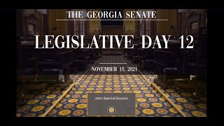 Special Session - Georgia Senate 2021 - Day 12