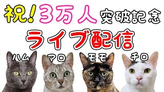 チャンネル登録者数30000人突破記念ライブ配信！