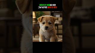 정말 위험할 수도 있습니다