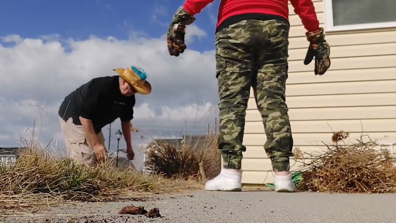 Te gusta tener PATIO?? Prepárate 🤣