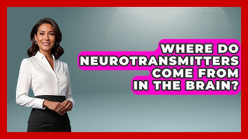 Where Do Neurotransmitters Come From In The Brain? - Neurotech Insight Pro