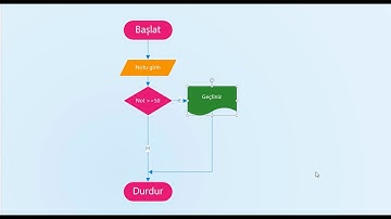 4. Algoritma ve Akış Diyagramı - Geçti/Kaldı