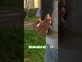 20+20+20+7:67🦎💚🫶🏻 #viral #mascotas #pets #lagartijas #reptiles #animallovers #animalshorts