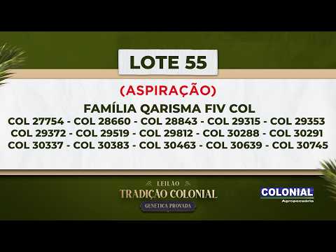 LOTE 55   ASPIRAÇÃO  FAMÍLIA QARISMA FIV COL