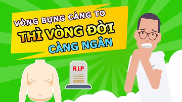 Tại sao Vòng bụng Càng To Vòng đời Càng ngắn?