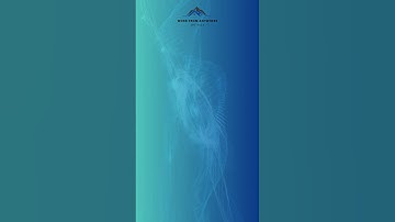 Cyber Security Tips: Password Protection